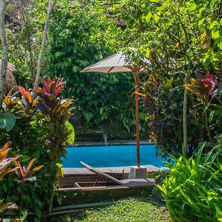 Appartement Down The Rabbit Hole à Ubud Extérieur photo