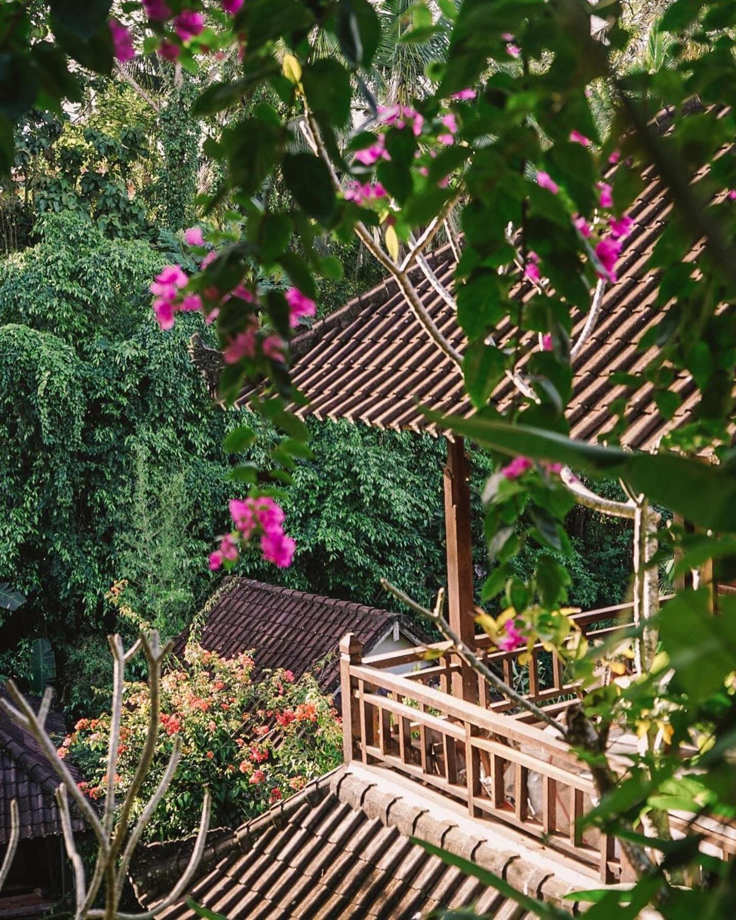 Appartement Down The Rabbit Hole à Ubud Extérieur photo